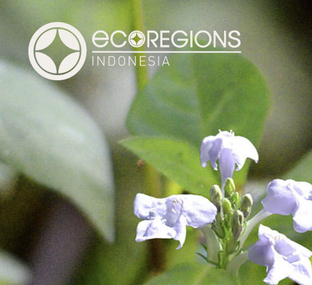 Eco Regions — Lombok Land Owners